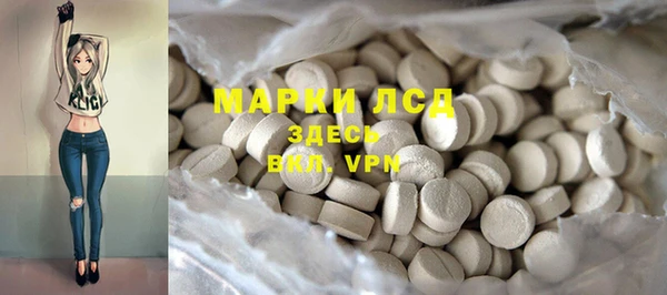 ПСИЛОЦИБИНОВЫЕ ГРИБЫ Баксан