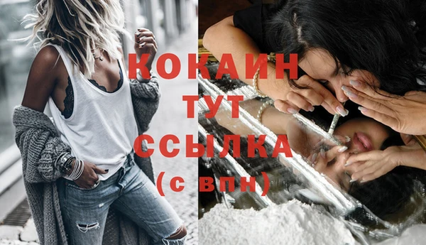 ПСИЛОЦИБИНОВЫЕ ГРИБЫ Баксан