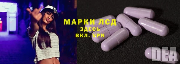 ПСИЛОЦИБИНОВЫЕ ГРИБЫ Баксан
