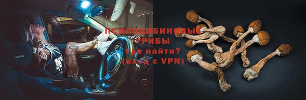 эйфоретик Балахна