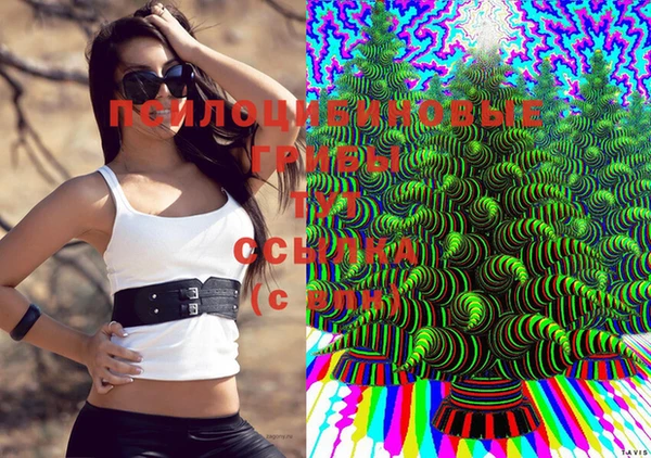 ПСИЛОЦИБИНОВЫЕ ГРИБЫ Баксан