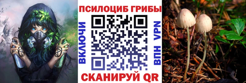 Галлюциногенные грибы прущие грибы  Заозёрск 